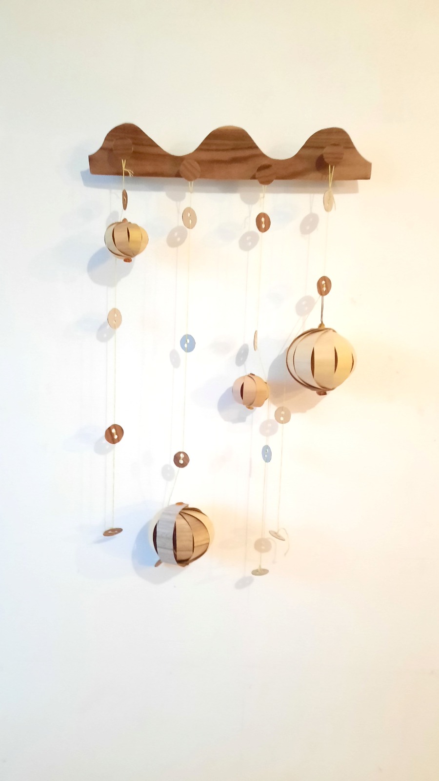 Aperçu du Projet Sozhino